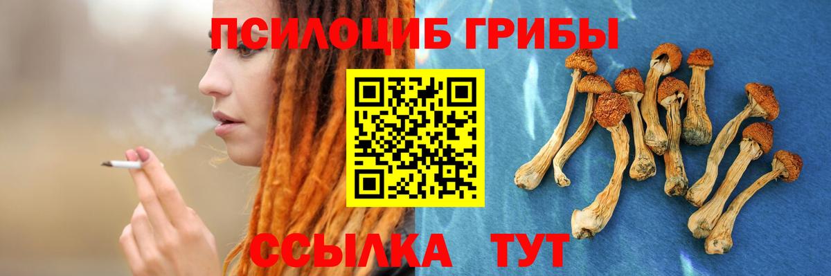 купить наркоту  Галлюциногенные грибы GOLDEN TEACHER  Вход с VPN  Реутов 